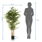 Dessin technique de la Plante artificielle BAMBUS II avec une hauteur de 150 cm et une largeur de 80 cm de hjh OFFICE