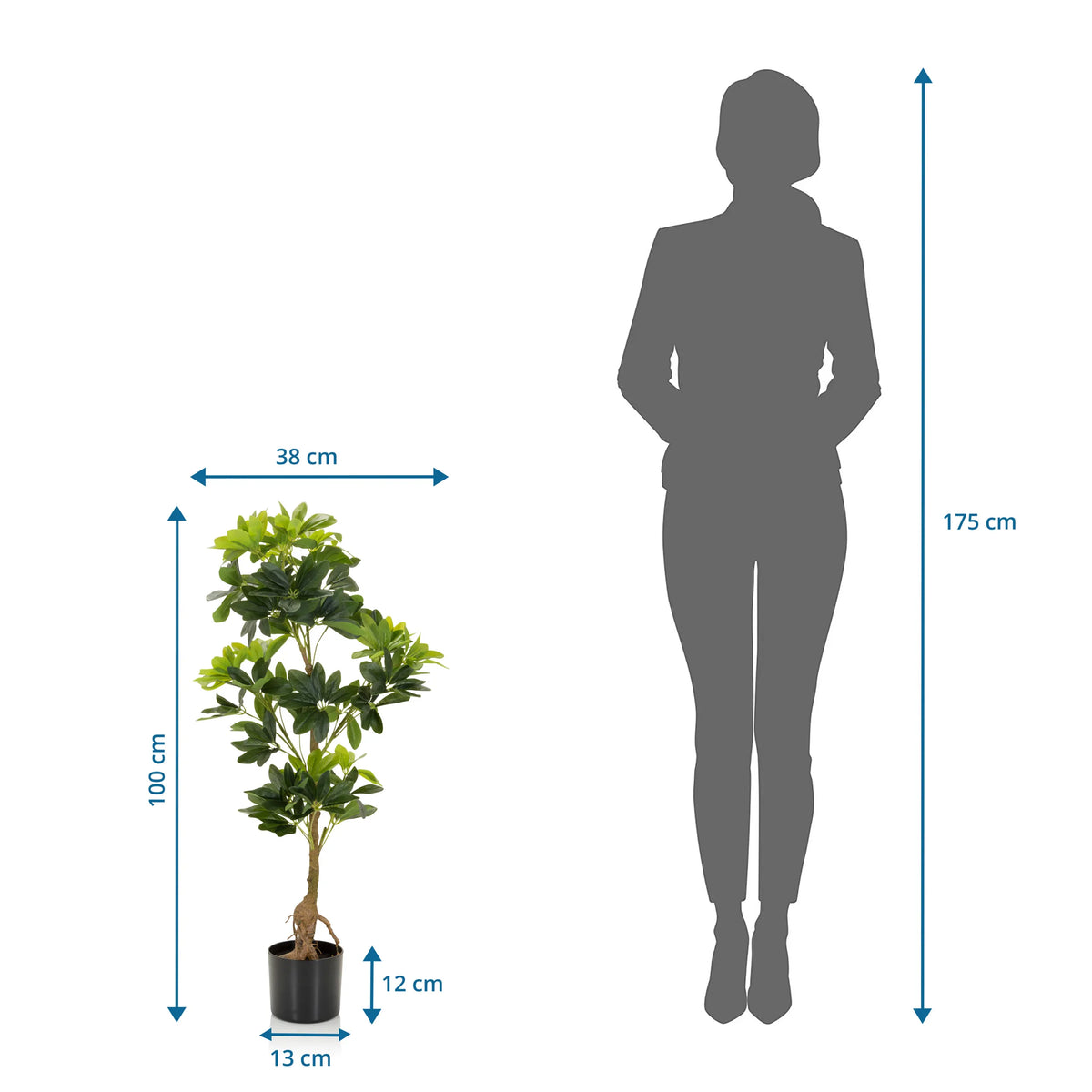 Vue dimensionnelle de la Plante artificielle SCHEFFLERA d'une hauteur de 100 cm et d'une largeur de 38 cm de hjh OFFICE