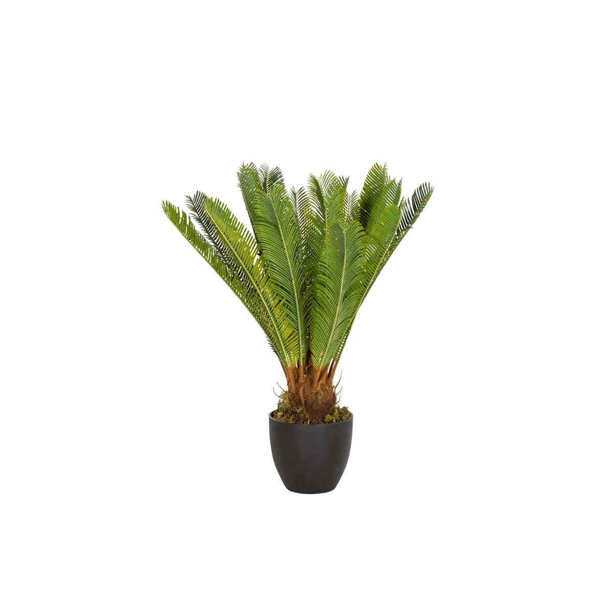 Plante artificielle verte CYCAS dans un pot noir de hjh OFFICE – vue à 360° (vue de face 0°)