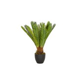 Plante artificielle verte CYCAS dans un pot noir de hjh OFFICE – vue à 360° (vue de face 0°)