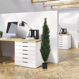 Plante artificielle verte CEDRUS dans un pot noir dans le bureau de hjh OFFICE