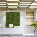 Tapis végétal vert MORE GREEN I en végétalisation verticale sur un mur en béton clair dans une zone de réception de hjh OFFICE