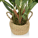 Panier tressé avec des feuilles vertes de la Plante artificielle CHAMAEDOREA de hjh OFFICE
