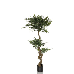 Plante artificielle verte ACACIA avec tronc brun courbé dans un pot noir de hjh OFFICE