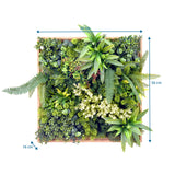 Dessin coté du Tapis végétal LEAFLUXE WALL 1 avec 50 × 50 cm et 16 cm de profondeur de hjh LIVING