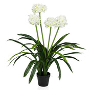 Plante artificielle AGAPANTHUS avec fleurs blanches, feuilles vertes et pot noir de hjh OFFICE