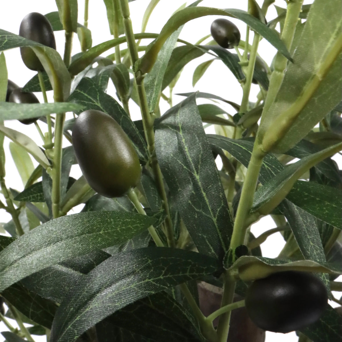 Feuilles vertes et olives sombres de la Plante artificielle Olive S de hjh OFFICE