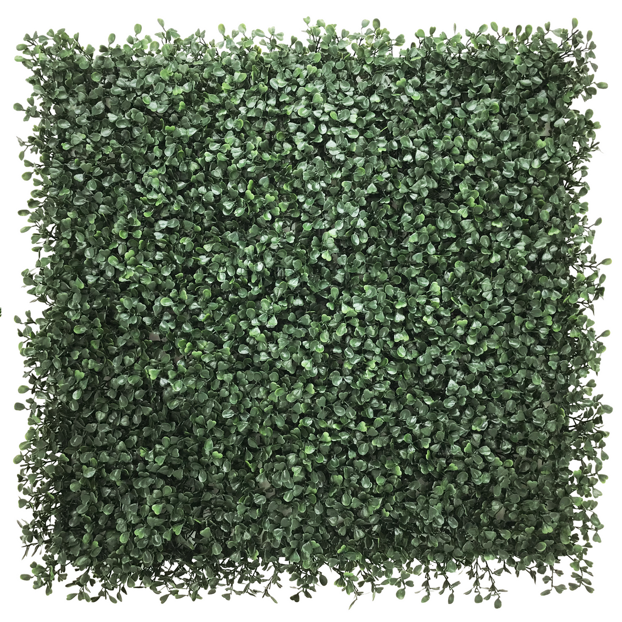 LEAFLUXE 1 - Tapis végétal 