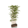Plante artificielle verte BAMBUS I en forme de bambou avec un pot marron foncé de hjh OFFICE