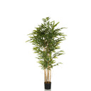 Plante artificielle BAMBUS II en vert avec des tiges semblables à du bambou et un pot noir de hjh OFFICE