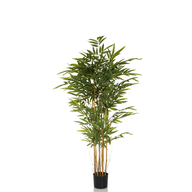 Plante artificielle BAMBUS II en vert avec des tiges semblables à du bambou et un pot noir de hjh OFFICE