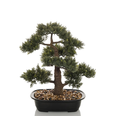 Plante artificielle BONSAI sous forme de bonsai vert dans un bol noir avec des galets de hjh OFFICE