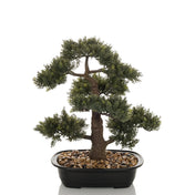 Plante artificielle BONSAI sous forme de bonsai vert dans un bol noir avec des galets de hjh OFFICE