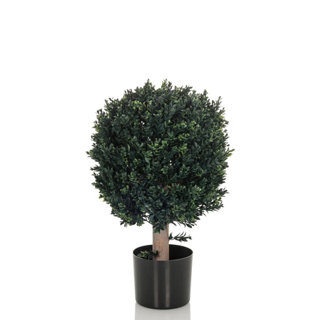 Plante artificielle BUXUS en vert avec une couronne sphérique dans un pot noir de hjh OFFICE