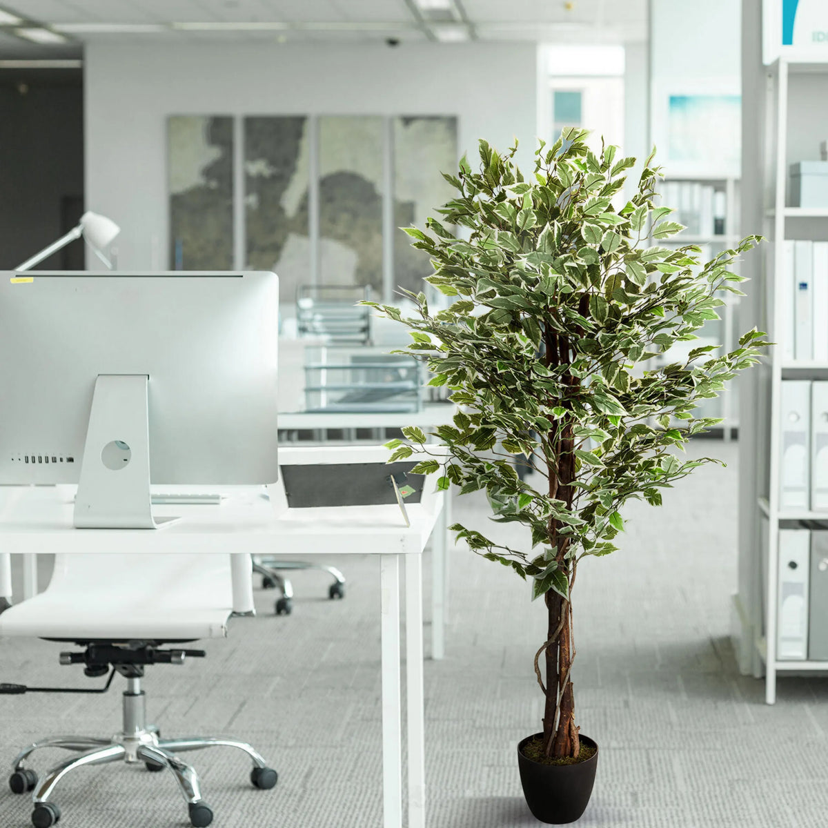 Plante artificielle verte FICUS dans un pot noir à côté d'un bureau de hjh OFFICE