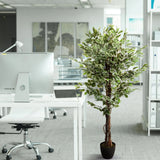 Plante artificielle verte FICUS dans un pot noir à côté d'un bureau de hjh OFFICE