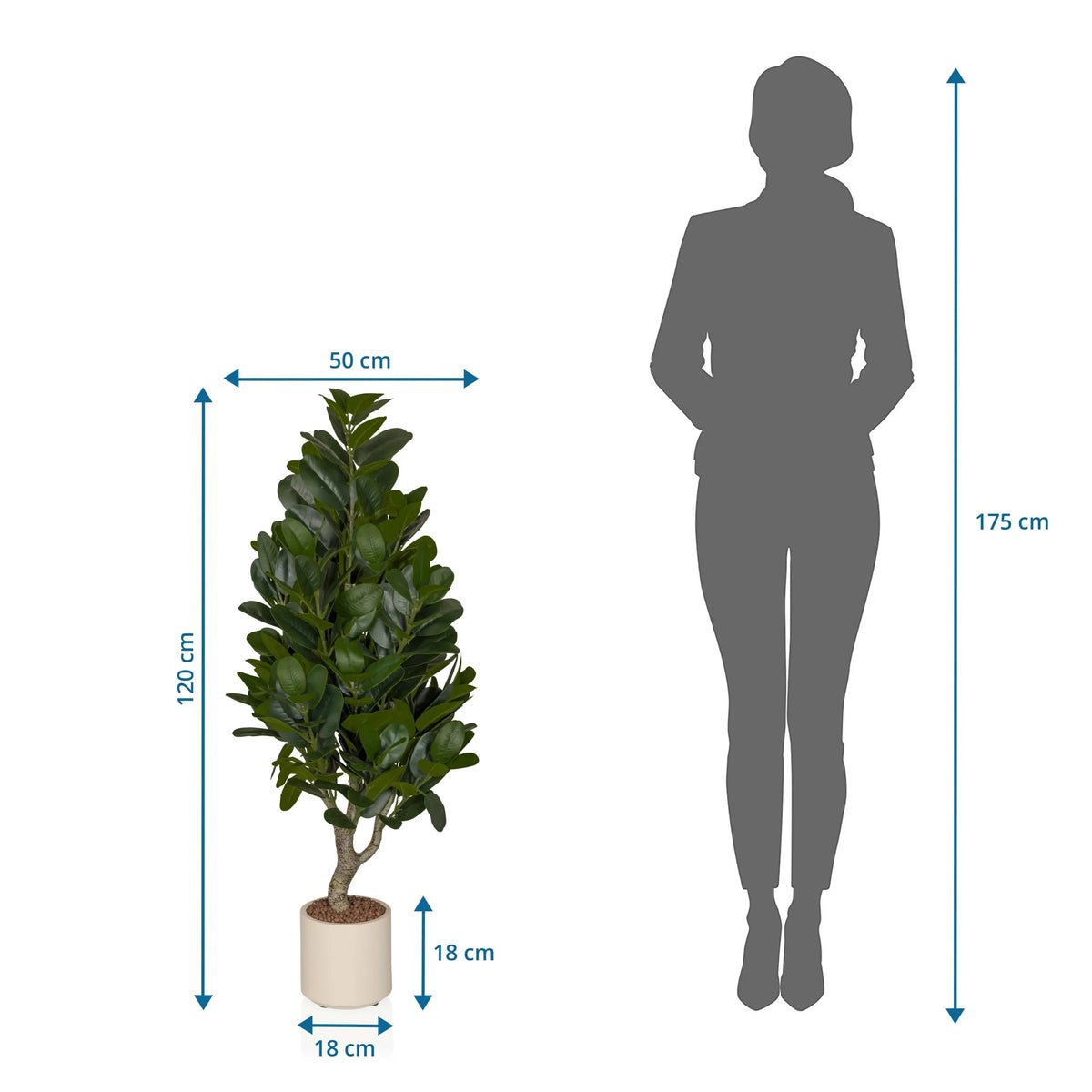 Dessin technique de la Plante artificielle Garcinia avec une hauteur de 120 cm et une largeur de 50 cm de hjh OFFICE