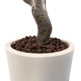 Tronc et pot de fleurs blanc avec substrat d'argile expansée de la Plante artificielle Garcinia de hjh OFFICE