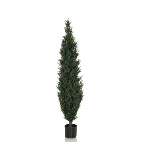 Plante artificielle verte CEDRUS de forme élancée avec pot noir de hjh OFFICE