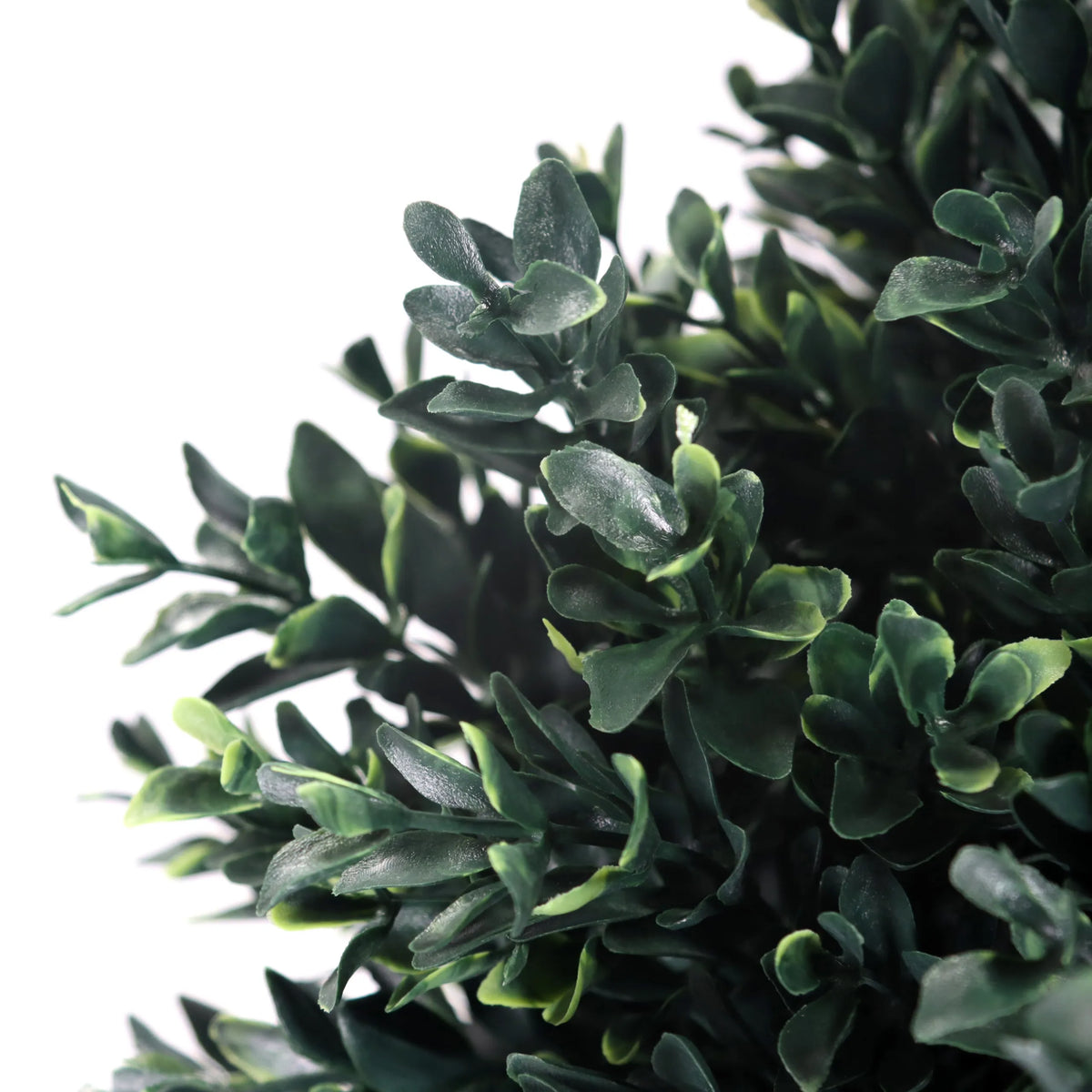 Feuilles vertes de la Plante artificielle BUXUS de hjh OFFICE