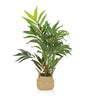 Plante artificielle CHAMAEDOREA de couleur verte avec un cache-pot tressé en matières naturelles de hjh OFFICE