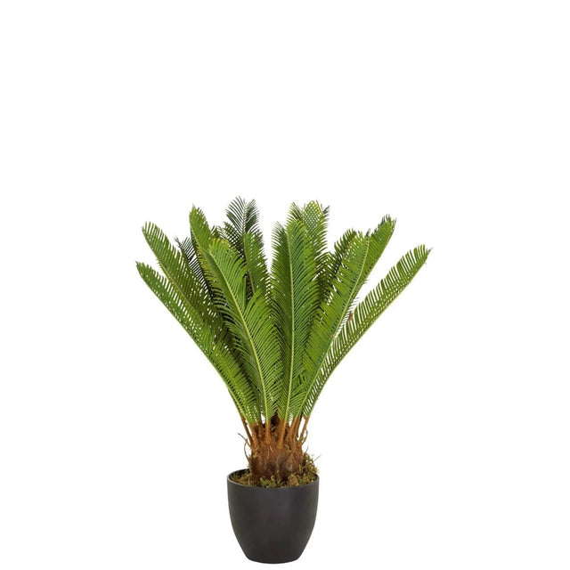 Plante artificielle verte CYCAS aux feuilles de fougère dans un pot noir de hjh OFFICE