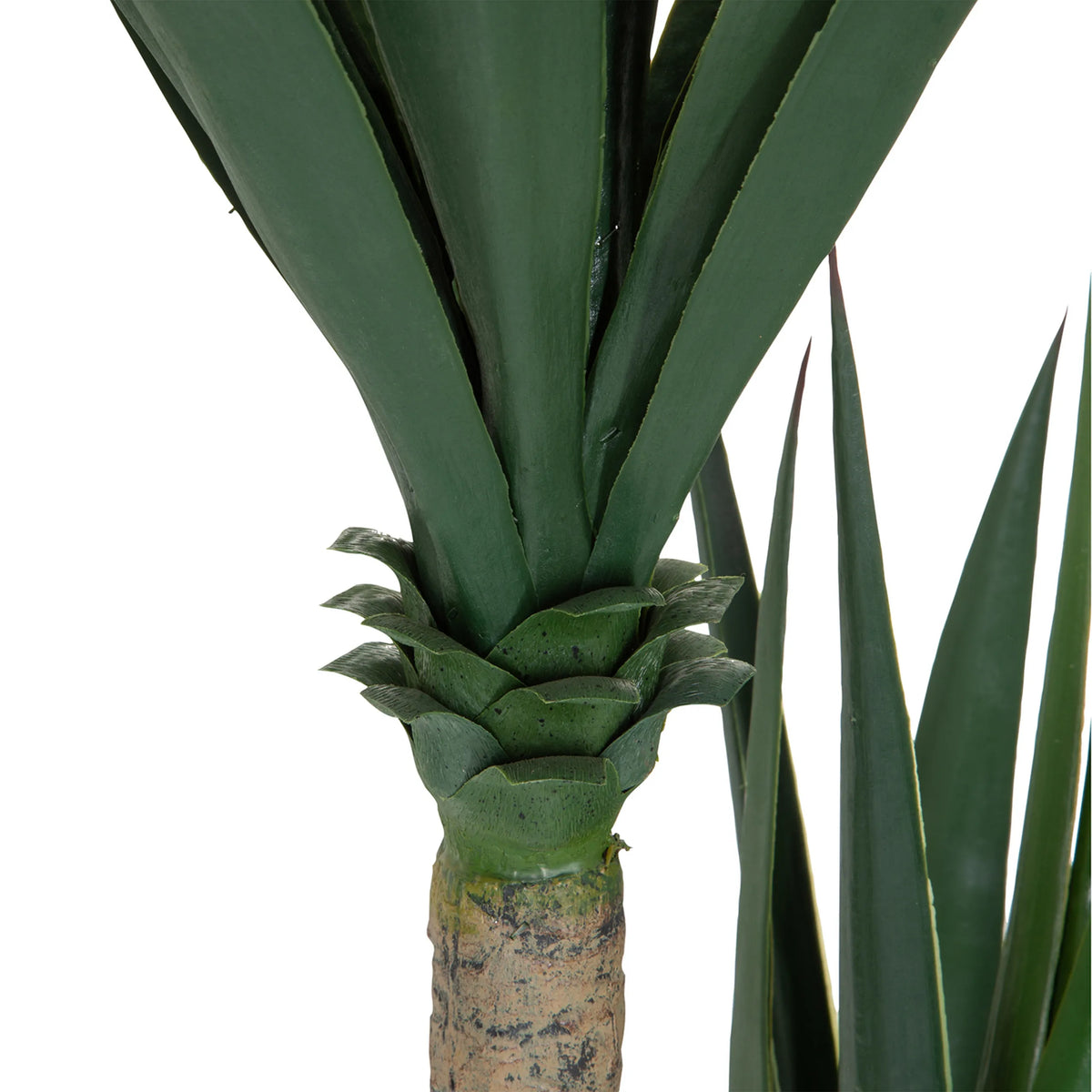 Tige et base des feuilles de la plante artificielle YUCCA en vert de hjh OFFICE
