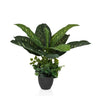 Plante artificielle verte DIEFFENBACHIA aux grandes feuilles dans un cache-pot noir de hjh OFFICE