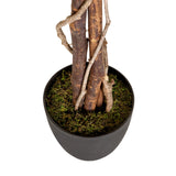Troncs et pot avec mousse verte de la Plante artificielle FICUS de hjh OFFICE