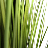 Feuilles vertes de la plante artificielle CORTADERIA de hjh OFFICE
