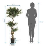 Dessin coté de la Plante artificielle ACACIA d'une hauteur de 155 cm de hjh OFFICE