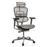 Siège de direction de luxe ERGOHUMAN GEN2 avec revêtement en maille gris clair, appuie-tête et pied en étoile poli de hjh OFFICE