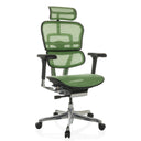 Siège de direction de luxe ERGOHUMAN GEN2 avec revêtement en maille verte, appui-tête et pied chromé de hjh OFFICE