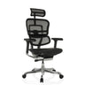 Siège de direction de luxe ERGOHUMAN GEN2 avec dossier en maille noire, assise en cuir et pied chromé de hjh OFFICE