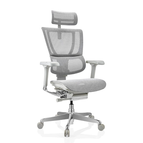 Siège de direction de luxe ERGOHUMAN SLIM G GEN2 avec revêtement en maille gris clair, appuie-tête et accoudoirs de hjh OFFICE