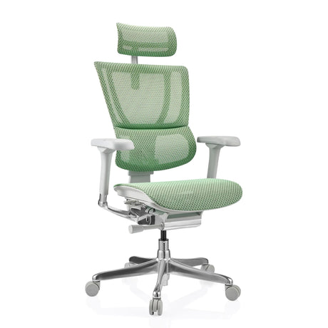 Siège de direction de luxe ERGOHUMAN SLIM G GEN2 avec revêtement en maille verte, appuie-tête et pied en étoile argenté de hjh OFFICE