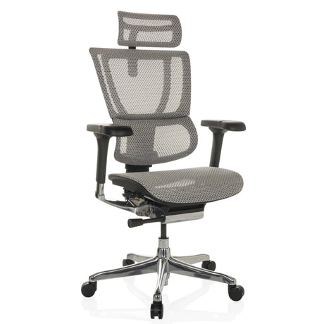 Siège de direction de luxe ERGOHUMAN SLIM GEN2 avec revêtement en maille gris clair et pied en étoile chromé de hjh OFFICE