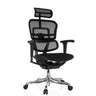 Siège de direction de luxe ERGOHUMAN ULTRA F GEN2 avec revêtement en maille noire, appui-tête et base brillante de hjh OFFICE
