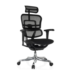 Siège de direction de luxe ERGOHUMAN ULTRA F GEN2 avec revêtement en maille noire, appui-tête et base brillante de hjh OFFICE