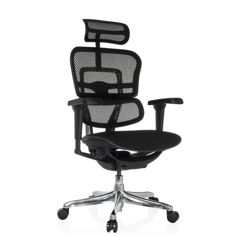 Siège de direction de luxe ERGOHUMAN ULTRA F GEN2 avec revêtement en maille noire, appui-tête et base brillante de hjh OFFICE