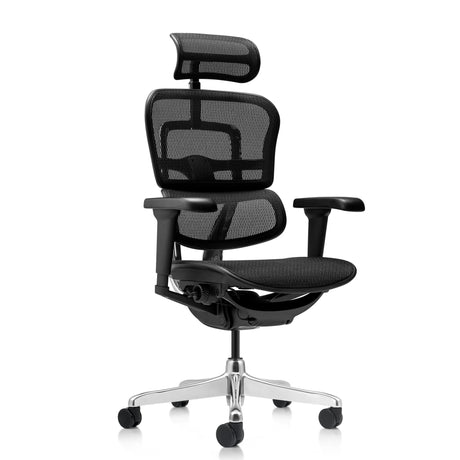 Siège de direction de luxe ERGOHUMAN ULTRA GEN2 avec revêtement en maille noire, appui-tête et pied en étoile argenté de hjh OFFICE