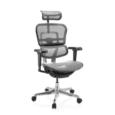 Siège de direction de luxe ERGOHUMAN ULTRA GEN2 avec revêtement en maille grise, appui-tête et étoile chromée de hjh OFFICE