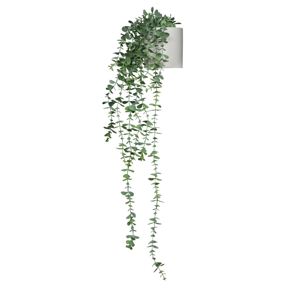 Plante artificielle verte EUCALYPTUS CLIMB aux feuilles retombantes dans un pot blanc de hjh OFFICE