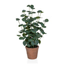 Plante artificielle Eucalyptus de couleur verte avec des feuilles rondes dans un pot en terre cuite marron de hjh OFFICE