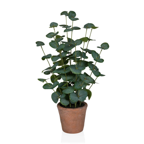 Plante artificielle Eucalyptus de couleur verte avec des feuilles rondes dans un pot en terre cuite marron de hjh OFFICE
