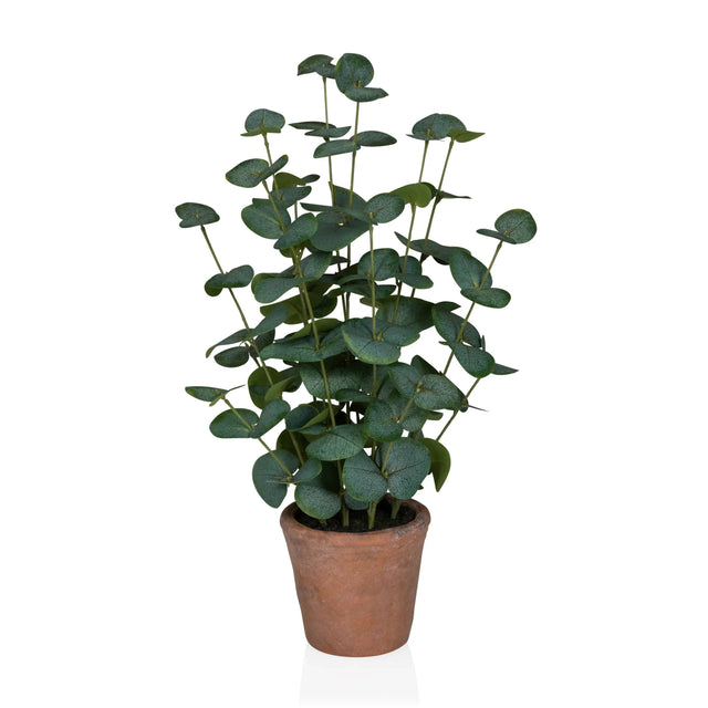 Plante artificielle Eucalyptus de couleur verte avec des feuilles rondes dans un pot en terre cuite marron de hjh OFFICE