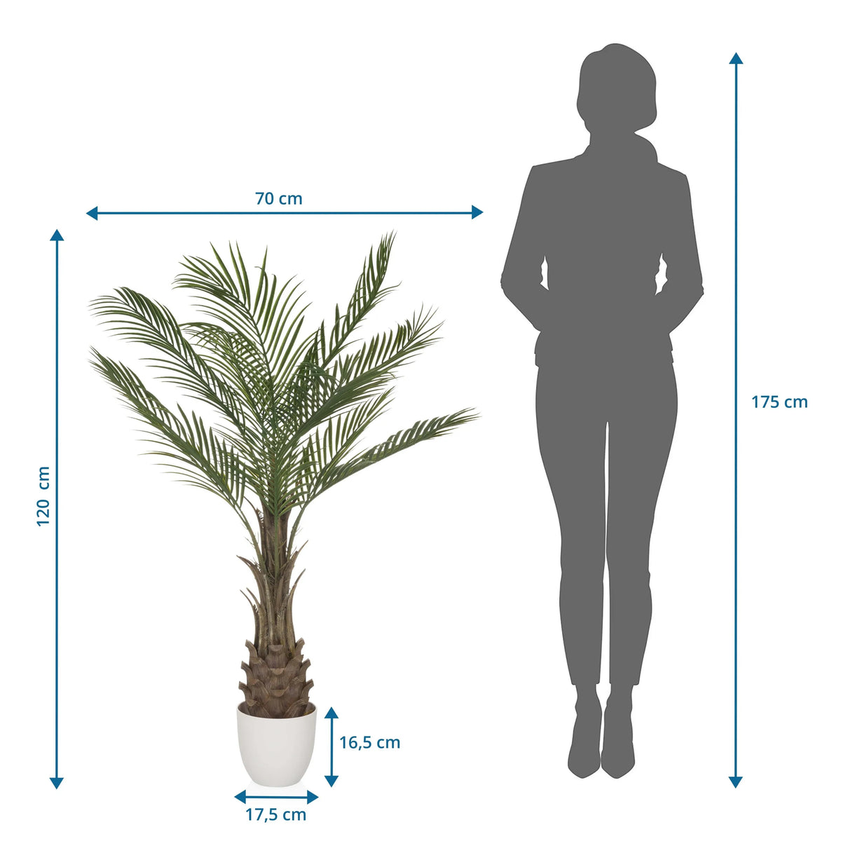 Dessin dimensionnel de la Plante artificielle DRACAENA avec une hauteur de 120 cm et une largeur de 70 cm de hjh OFFICE