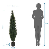 Dessin technique de la Plante artificielle CEDRUS d'une hauteur de 152 cm de hjh OFFICE