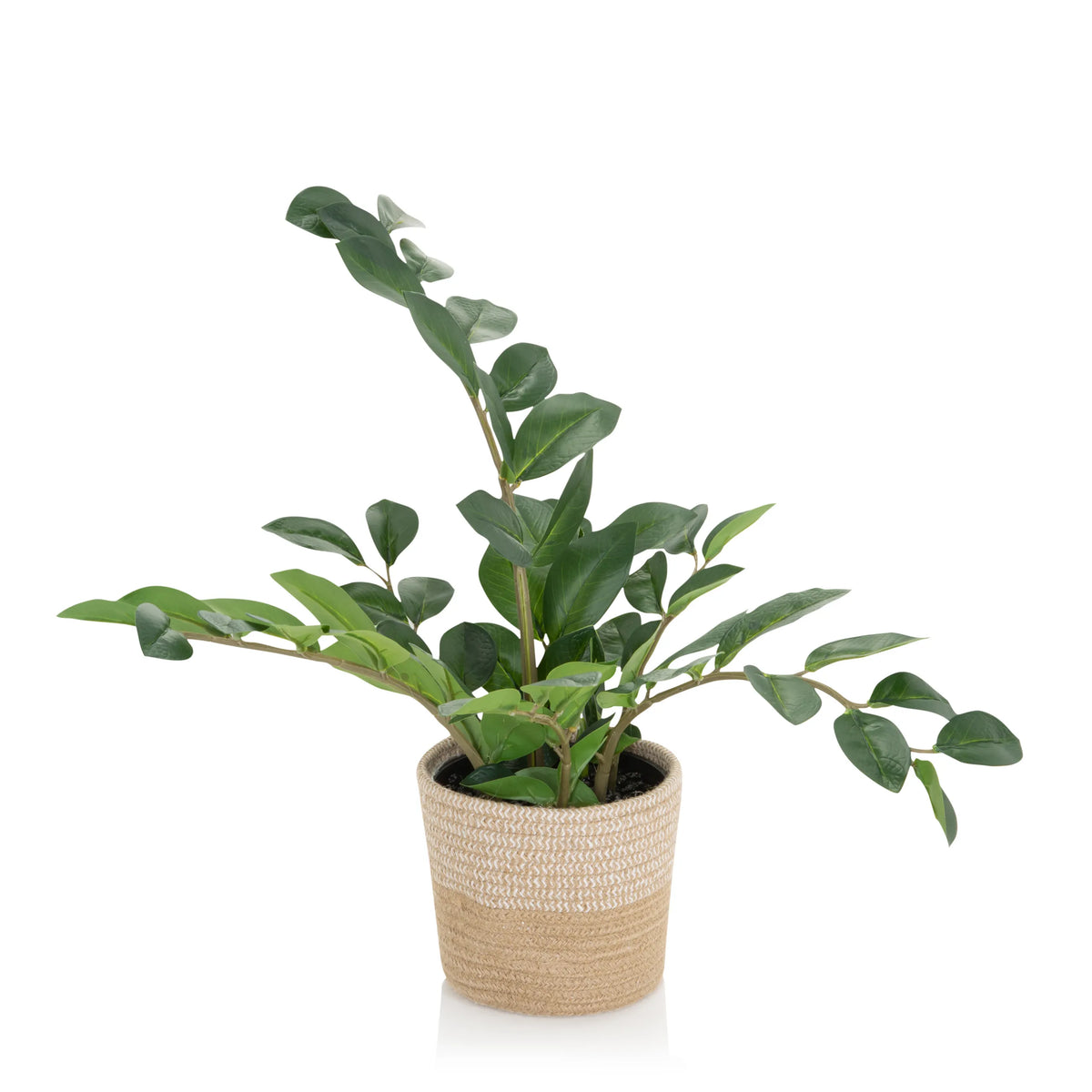 Plante artificielle verte ZAMIE dans un cache-pot tressé marron clair de hjh OFFICE – vue à 360° (vue de profil 90°)