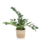 Plante artificielle verte ZAMIE dans un cache-pot tressé marron clair de hjh OFFICE – vue à 360° (vue de profil 90°)